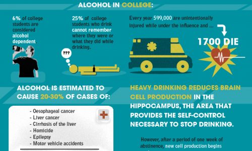 Truth About Alcoholism Infographic