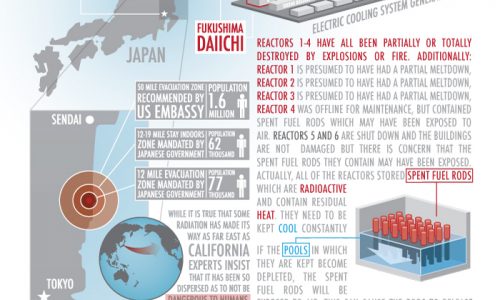 Japan Nuclear Reactor