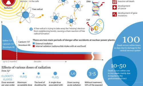 Effects of Radiation on the Human Body