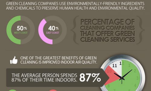 House Cleaning Facts