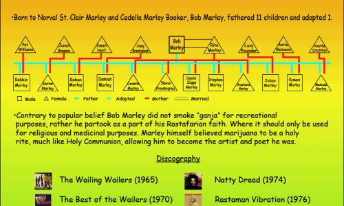 A Bob Marley Infographic