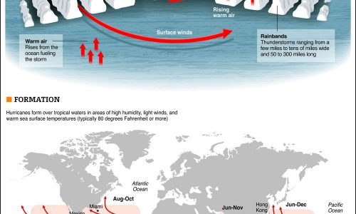 Anatomy of a Hurricane Infographic