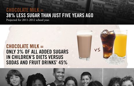 Chocolate milk facts infographic