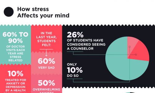 Stressed Out Students Infographic