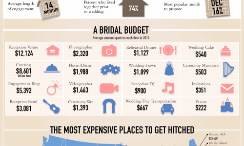 Wedding infographic