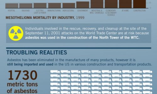 Facts About Mesothelioma