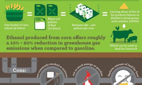 Ethanol vs. Oil