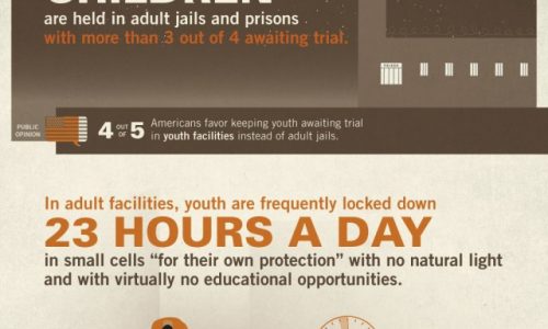 Youth in the Adult Criminal Justice System