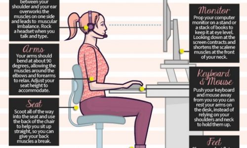 Sitting Pretty Infographic