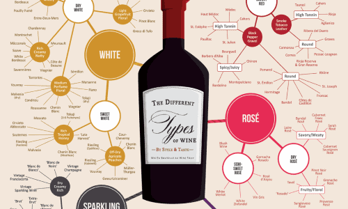 Different Types of Wine