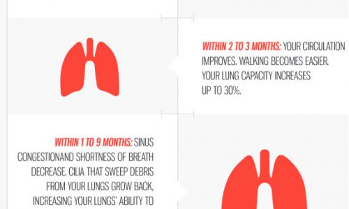 Smoking Timeline