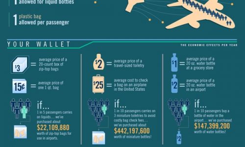 Real Cost of Flying