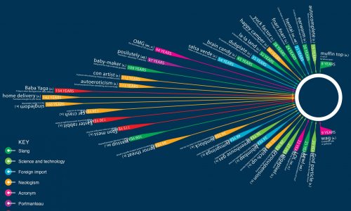 Words Infographic