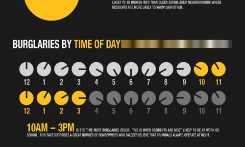 Odds of burglary in america infographic