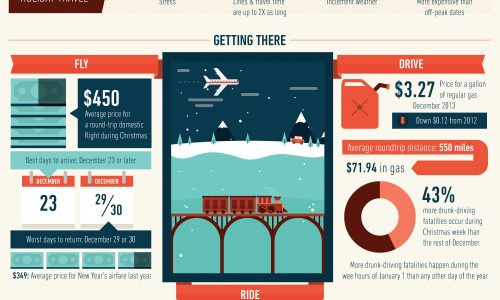 Christmas Vacation or Holidays At Home Infographic