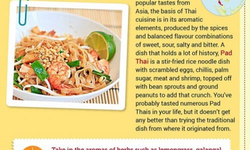 Tastes of Mainland South-East Asia Infographic