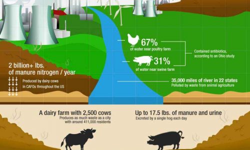 Truth About Factory Farms