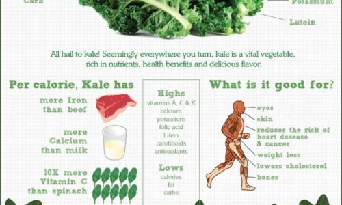 Kale Infographic