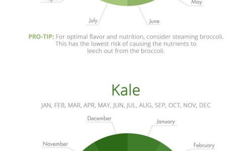 Vegetables Season Infographic