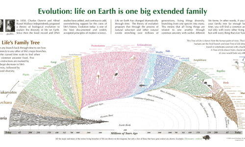 Evolution Life On Earth Is One Big Extended Family