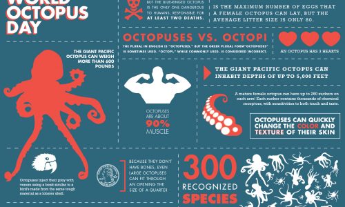 World Octopus Day Infographic