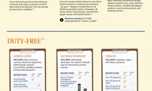 Australian Customs Infographic