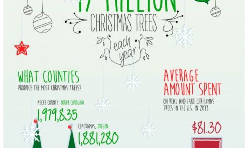 Christmas by the Numbers