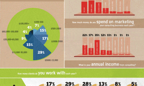 Marketing for Consultants Survey Results Infographic