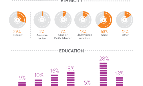 Electronic Music Listener Infographic