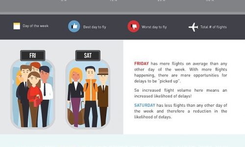 How To Avoid Flight Delays Infographic