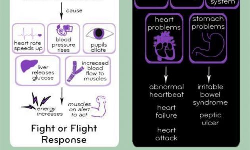 Let’s Talk About Stress Infographic