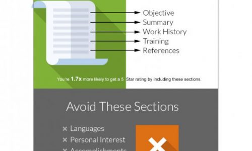 Perfect Resume Infographic