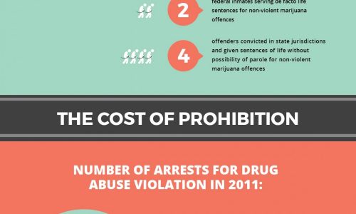 Marijuana Law The Past Present and Future Infographic