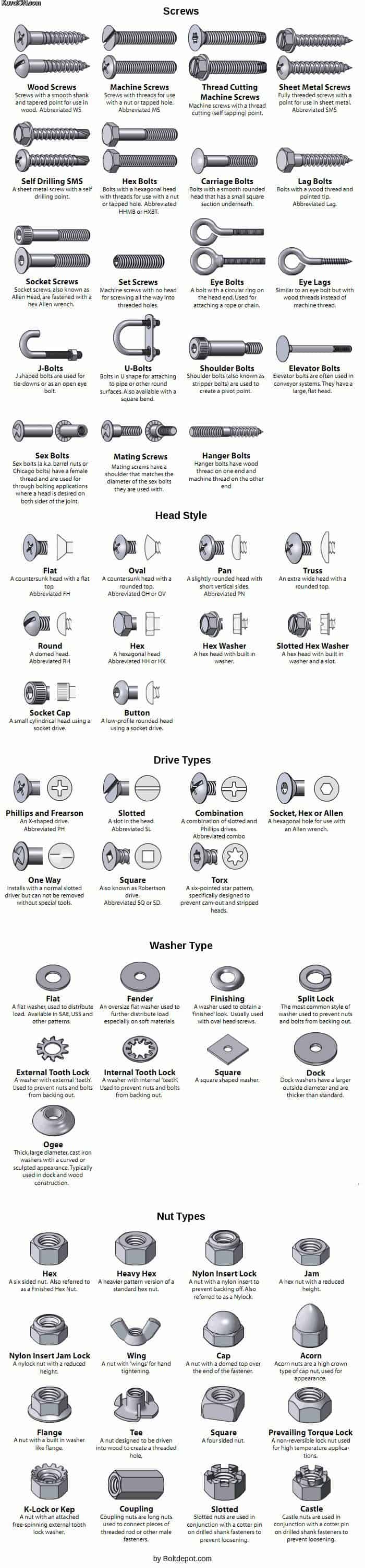 Types of Screws and Bolts Guide Infographic