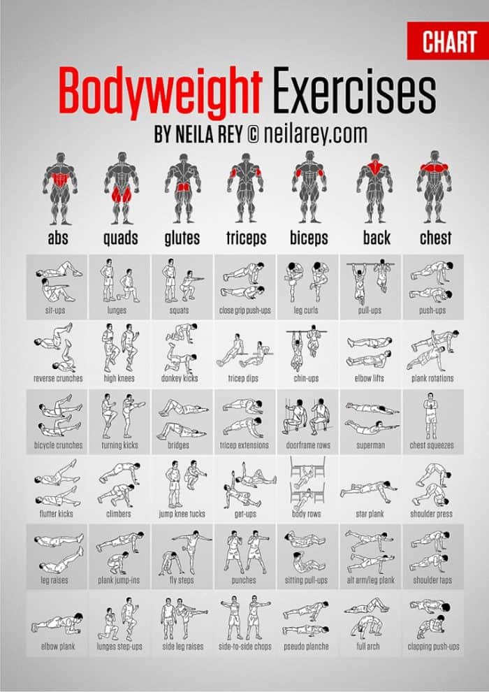 Bodyweight Exercises Chart Infographic