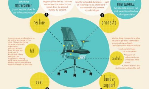 Office Chair Ergonomics Infographic