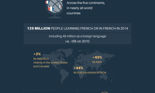 French the 5th important world language infographic