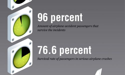 Crash Course in Airplane Safety Infographic