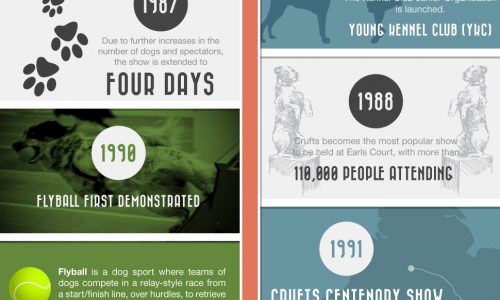 History of crufts infographic