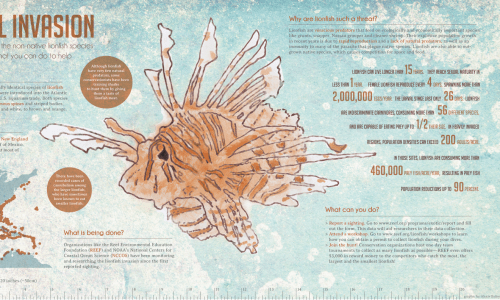 Lion fish infographic