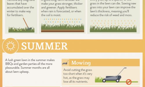 Cheat Sheet to a Fabulous Lawn