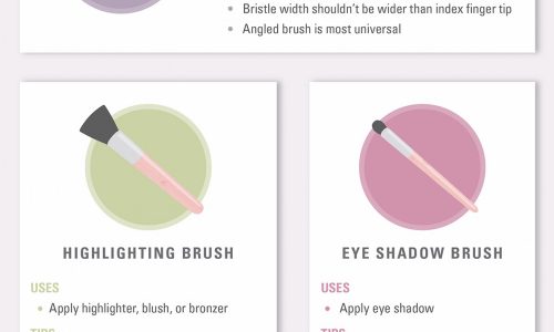 Ultimate Makeup Brushes Guide infographic