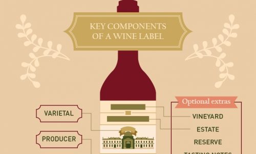 Complete guide to wine tasting infographic