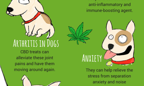 benefits of cannabinoids dog treats that comes from cannabis