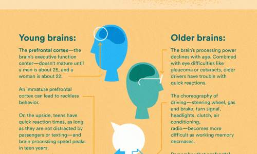 Teens vs. Seniors: Who's More Dangerous On The Road?