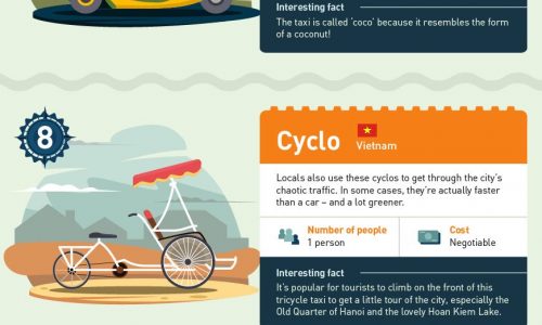 Infographic showing some interesting transport alternatives from all around the world.