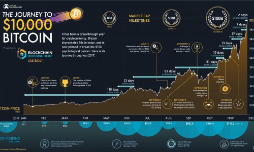 The rise of the $10,000 bitcoin infographic.