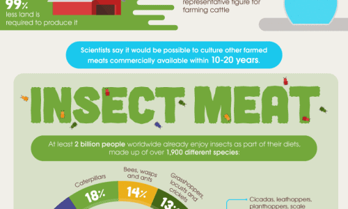 Future alternatives to replace traditional meat