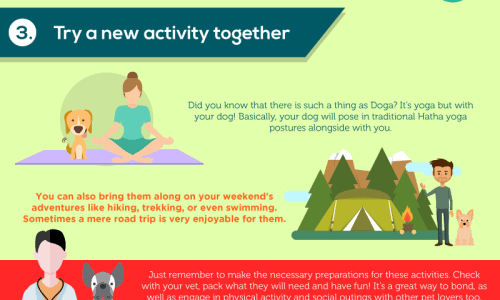 New years resolutions for you and your pet