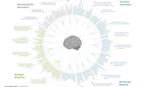 infographic describes cognitive biases and how to avoid them